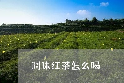 调味红茶怎么喝/2023042961047