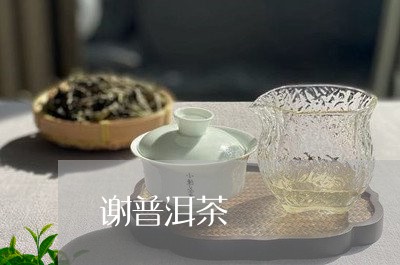 谢普洱茶/2023110859582