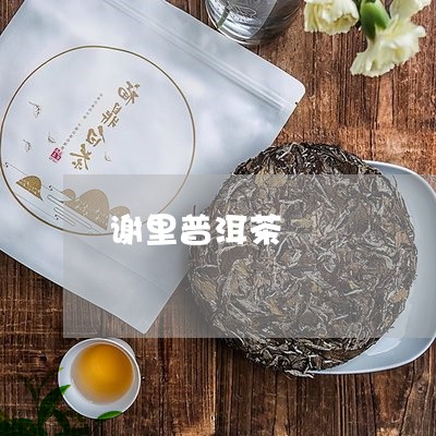 谢里普洱茶/2023090633614