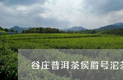 谷庄普洱茶侯爵号沱茶/2023120645149