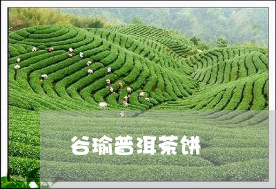 谷瑜普洱茶饼/2023042563096