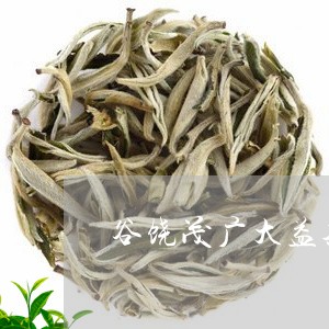 谷饶茂广大益茶体验馆/2023071616948