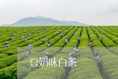 豆奶味白茶/2023051111513