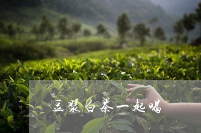 豆浆白茶一起喝/2023061062726