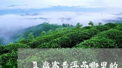 豆腐寨普洱茶哪里的/2023120528269