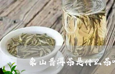 象山普洱茶是什么茶叶种类/2023121869494