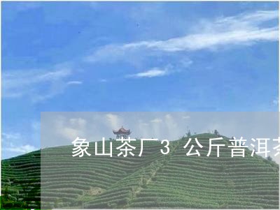 象山茶厂3公斤普洱茶多少钱/2023082804057