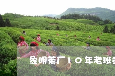 象明茶厂10年老班章/2023092468361