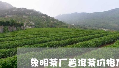 象明茶厂普洱茶价格及图片/2023112483725