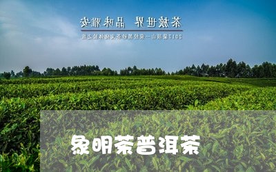 象明茶普洱茶/2023042812462