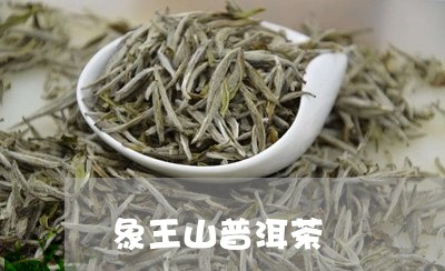 象王山普洱茶/2023042894167