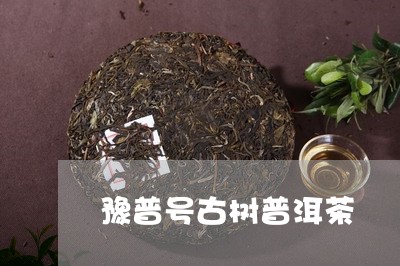 豫普号古树普洱茶/2023112694037