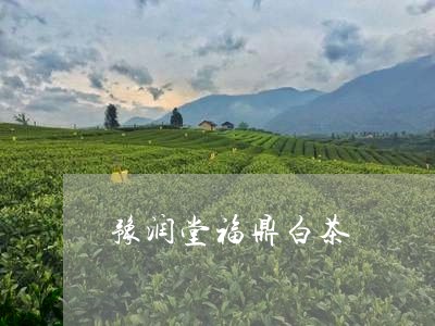 豫润堂福鼎白茶/2023061066369