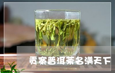 贡寨普洱茶名满天下/2023091594161