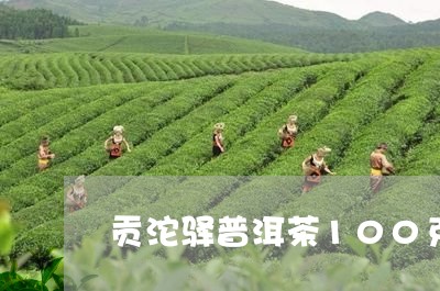 贡沱驿普洱茶100克/2023062241825