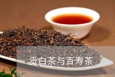 贡白茶与百寿茶/2023061000827