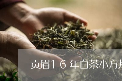 贡眉16年白茶小方片/2023092095260