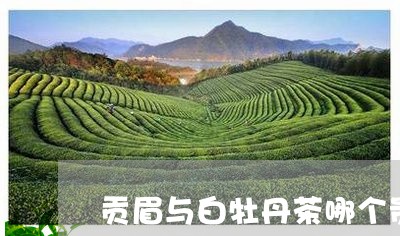 贡眉与白牡丹茶哪个贵/2023092150472