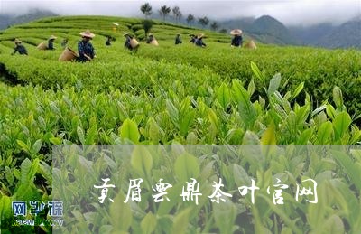 贡眉云鼎茶叶官网/2023071340471