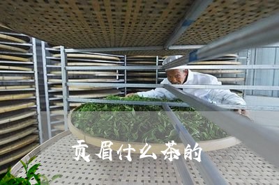 贡眉什么茶的/2023052438494