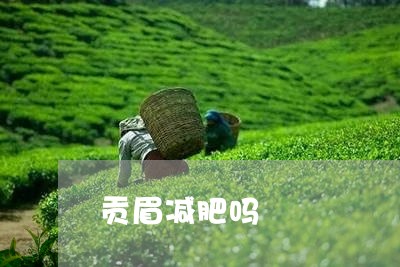 贡眉减肥吗/2023082745825