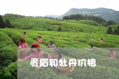 贡眉和牡丹价格/2023112505039