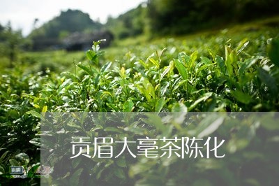 贡眉大毫茶陈化/2023112549592