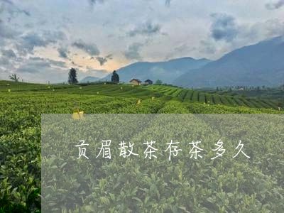 贡眉散茶存茶多久/2023090956948