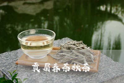 贡眉春茶秋茶/2023052449584