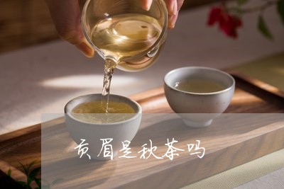 贡眉是秋茶吗/2023052472735