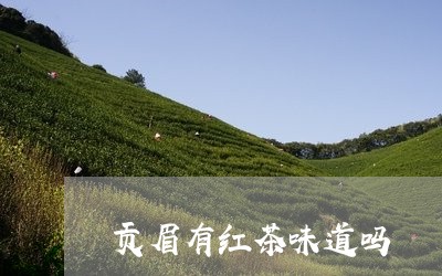 贡眉有红茶味道吗/2023090918351