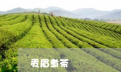 贡眉煮茶/2023082661139