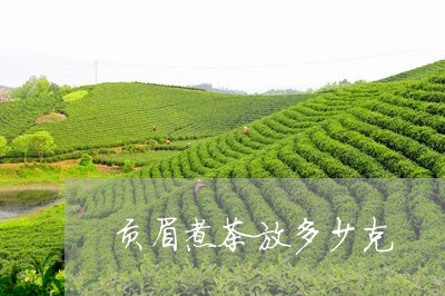 贡眉煮茶放多少克/2023090760683