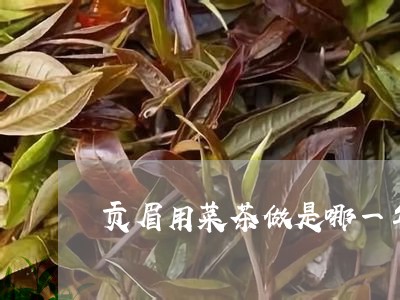 贡眉用菜茶做是哪一年/2023120868693