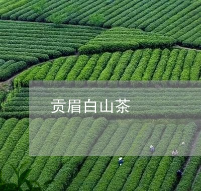 贡眉白山茶/2023082763695