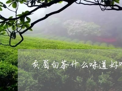 贡眉白茶什么味道好喝点/2023082654250