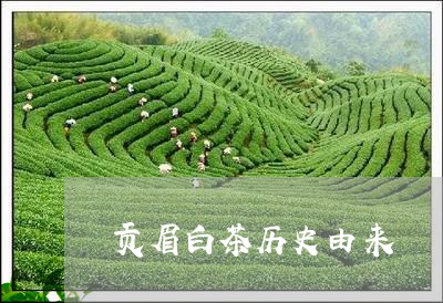 贡眉白茶历史由来/2023112518374