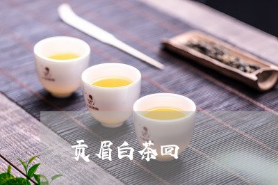 贡眉白茶回/2023111627158