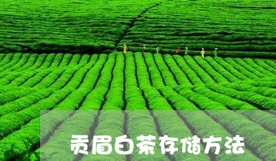 贡眉白茶存储方法/2023090719260