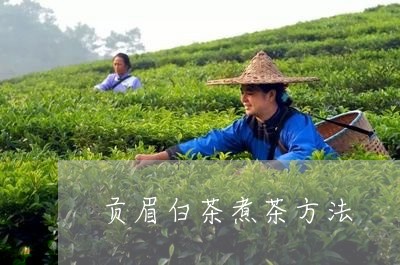 贡眉白茶煮茶方法/2023112537361