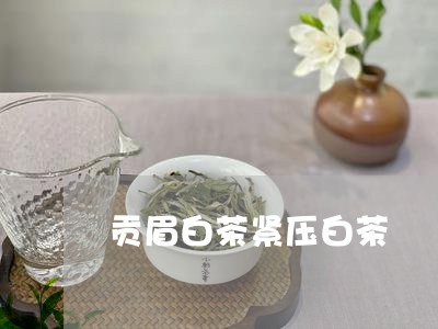 贡眉白茶紧压白茶/2023090739583