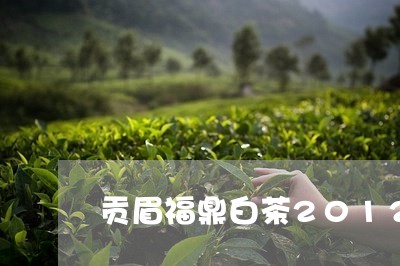 贡眉福鼎白茶2012/2023092171495