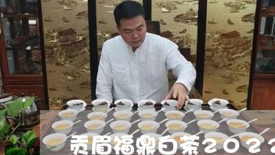 贡眉福鼎白茶2022/2023062927937