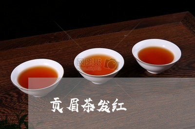 贡眉茶发红/2023051177272