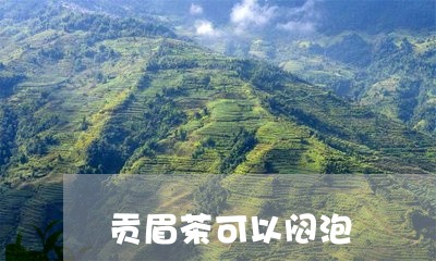 贡眉茶可以闷泡/2023061124827