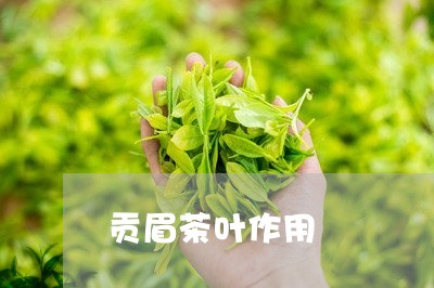 贡眉茶叶作用/2023052548172