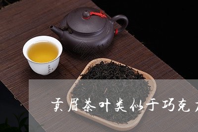 贡眉茶叶类似于巧克力香的茶/2023111486039