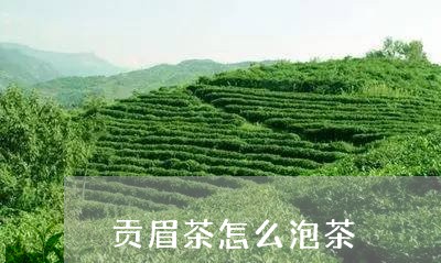 贡眉茶怎么泡茶/2023061195370