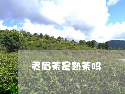 贡眉茶是熟茶吗/2023112538503