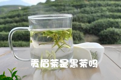 贡眉茶是黑茶吗/2023061149692